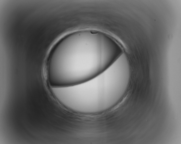 X0000099521510200805151021
