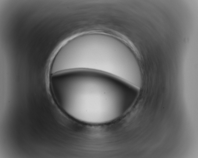 X0000099521512200805151021