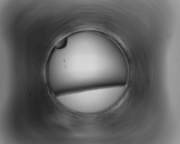 X0000099521513200805151021