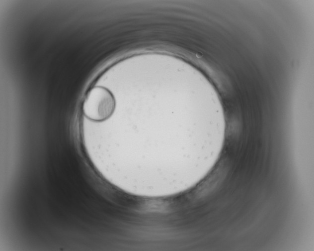 X0000099521514200805151021