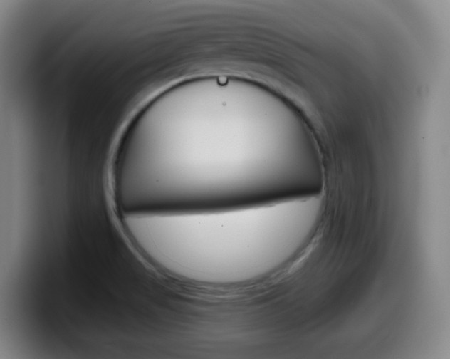 X0000099521517200805151021