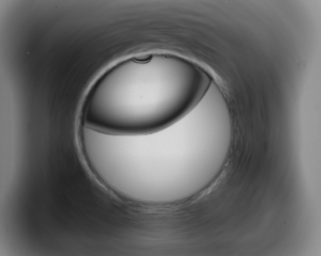 X0000099521518200805151021