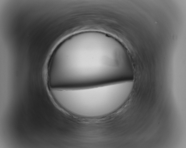 X0000099521519200805151021