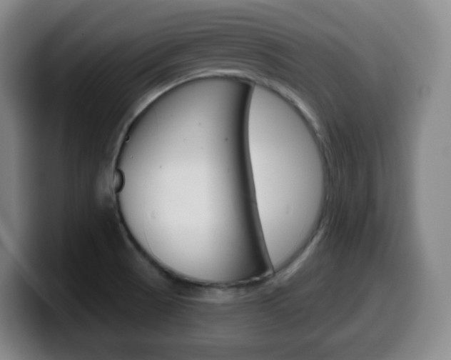 X0000099521521200805151021
