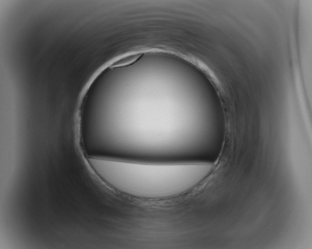 X0000099521524200805151021