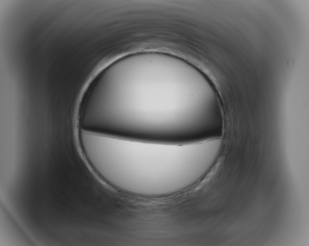 X0000099521525200805151021