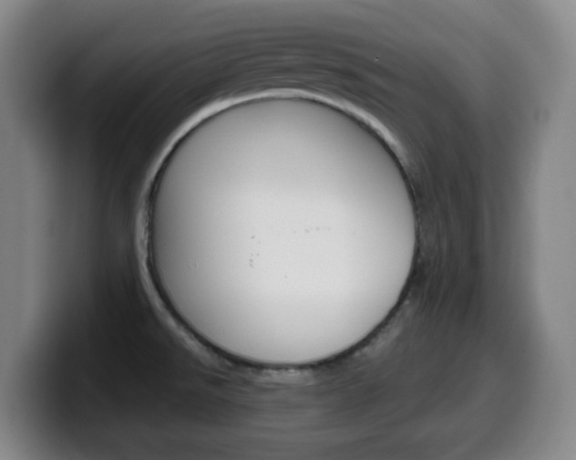 X0000099521526200805151021