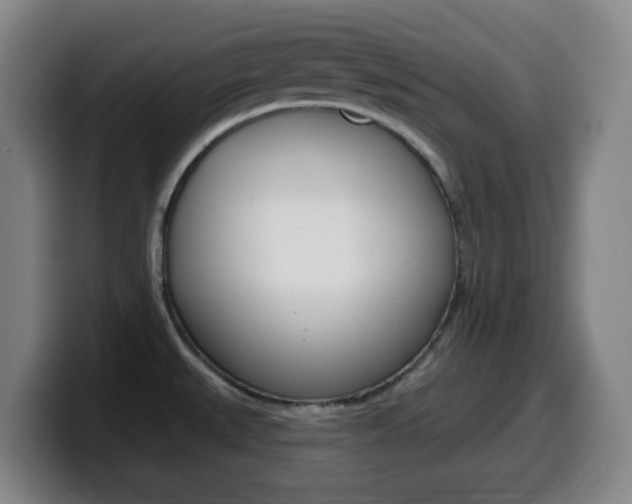 X0000099521527200805151021