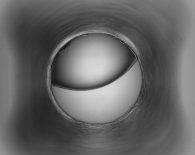 X0000099521528200805151021