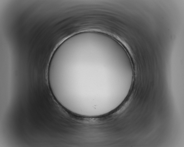 X0000099521529200805151021