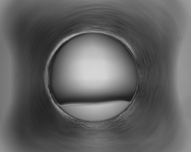 X0000099521531200805151021