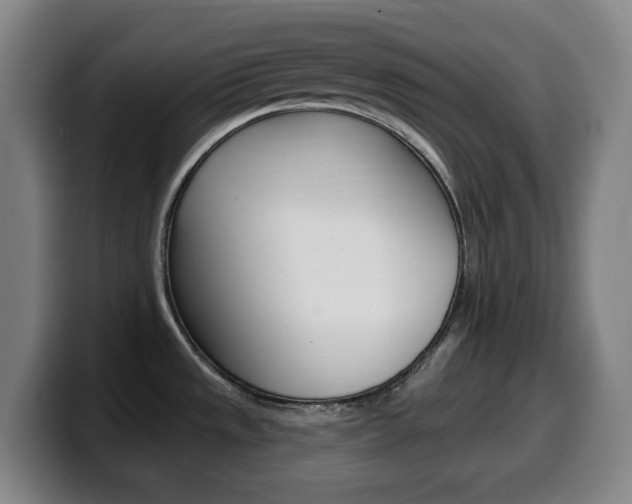 X0000099521533200805151022