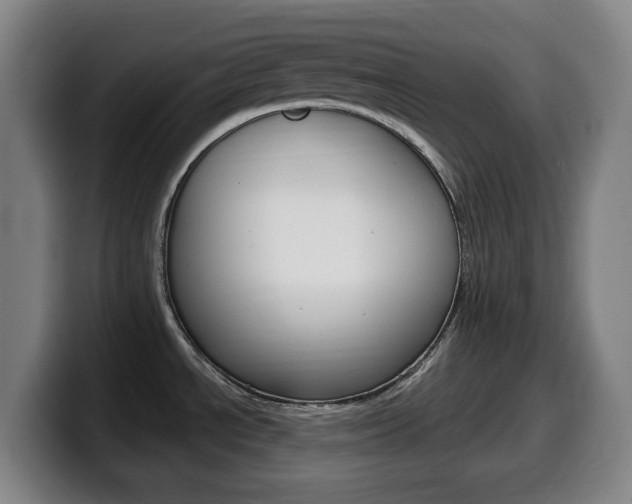 X0000099521534200805151022