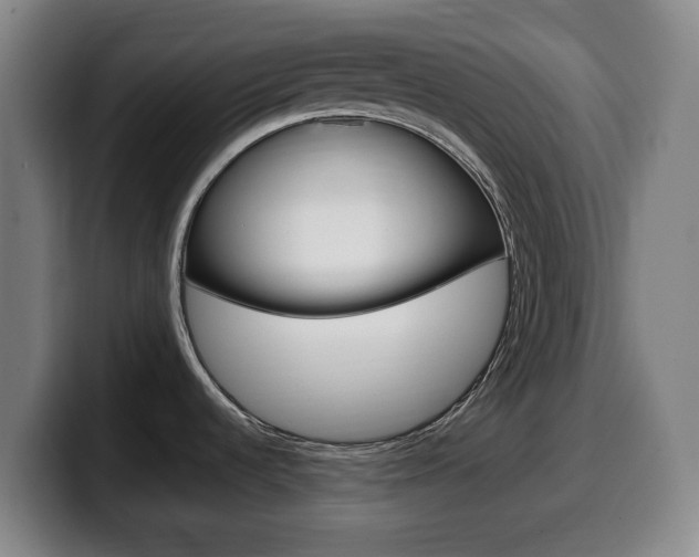 X0000099521536200805151022