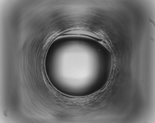 X0000099520001200805151537