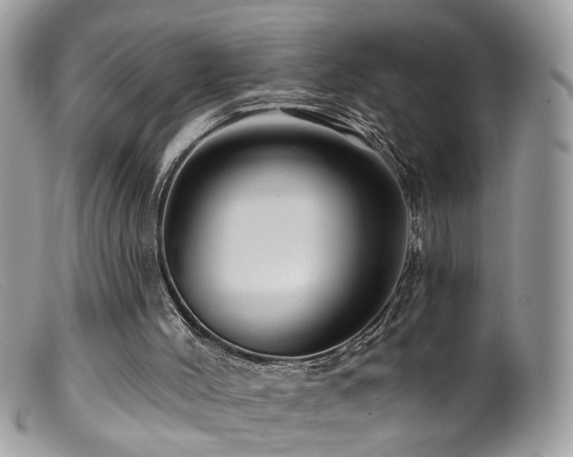 X0000099520004200805151537
