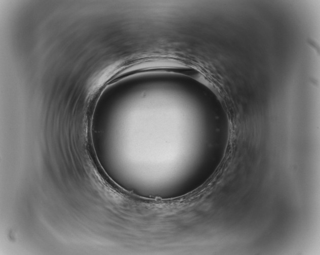 X0000099520005200805151537