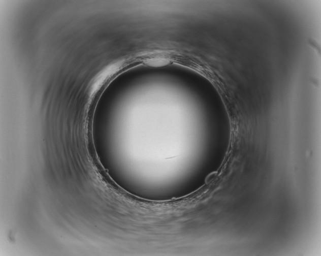 X0000099520006200805151537