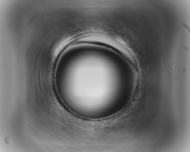 X0000099520007200805151537
