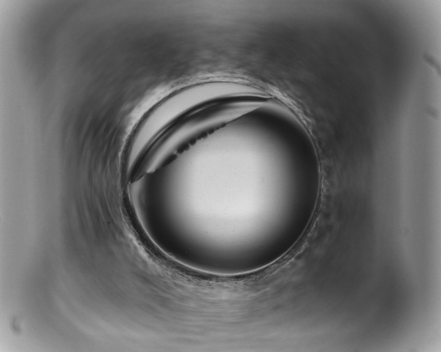 X0000099520008200805151537