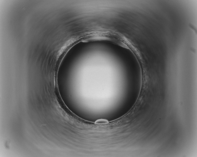 X0000099520011200805151536