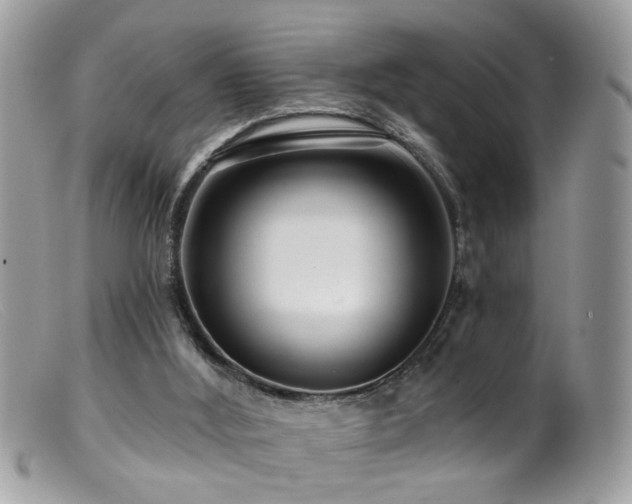 X0000099520012200805151536