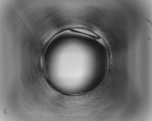 X0000099520013200805151536