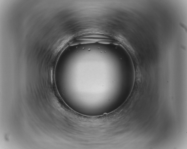 X0000099520014200805151536