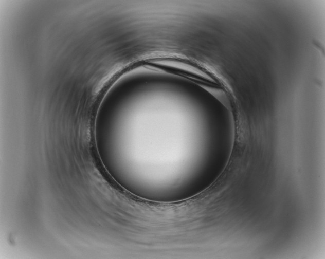 X0000099520015200805151536