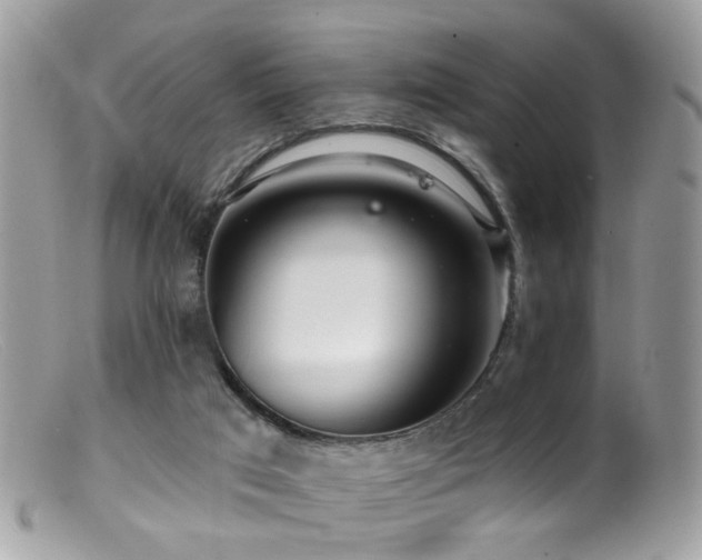 X0000099520017200805151536