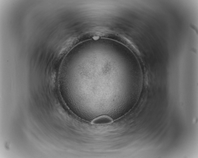 X0000099520018200805151536