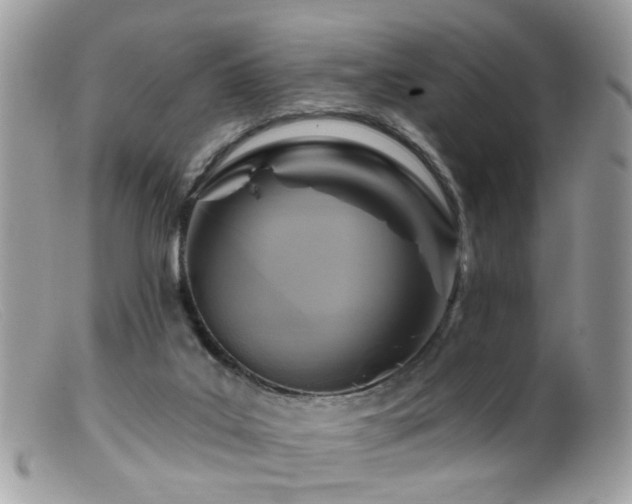 X0000099520019200805151536