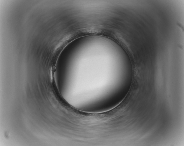 X0000099520020200805151536
