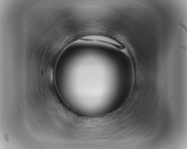 X0000099520021200805151536