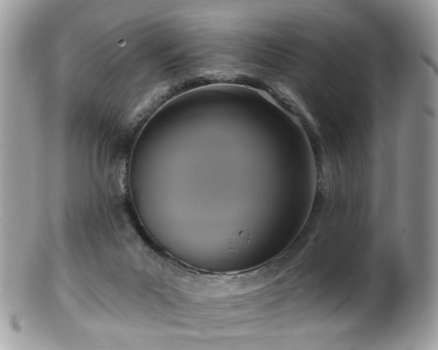 X0000099520023200805151536