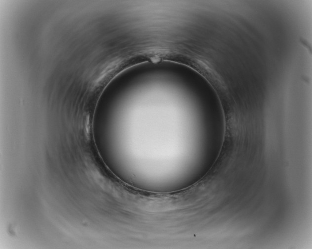 X0000099520024200805151536