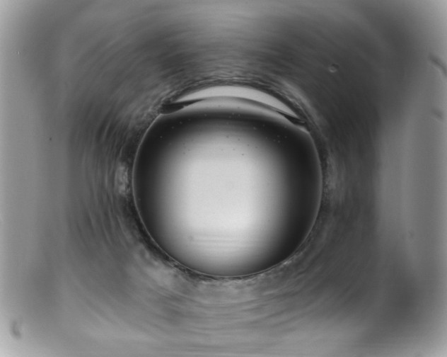 X0000099520025200805151536