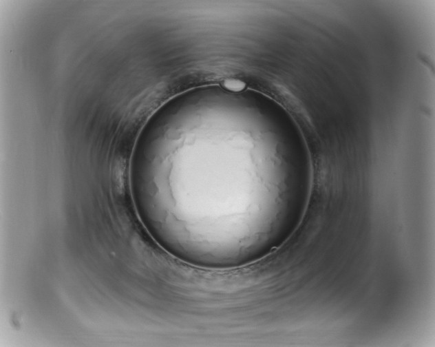 X0000099520026200805151536