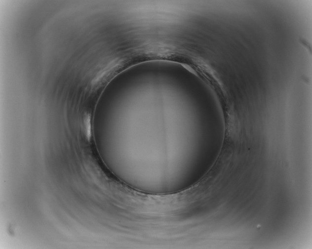 X0000099520027200805151536