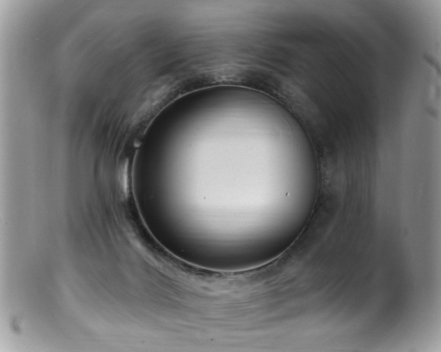 X0000099520028200805151536