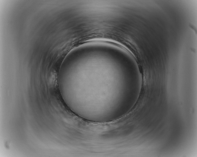 X0000099520029200805151536