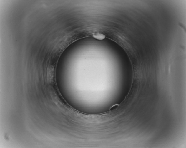 X0000099520030200805151536