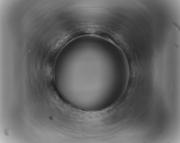 X0000099520031200805151536