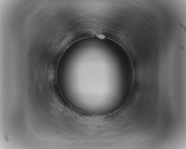 X0000099520032200805151536
