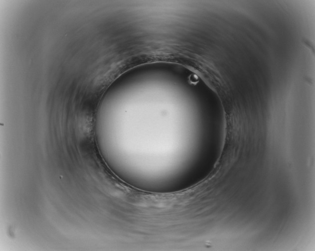 X0000099520033200805151536