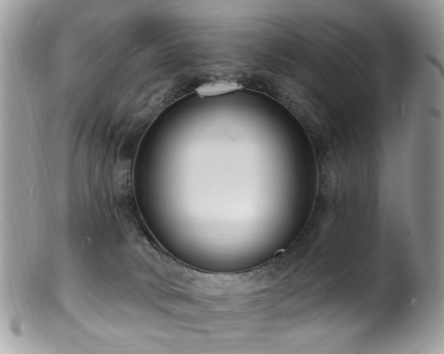 X0000099520034200805151536