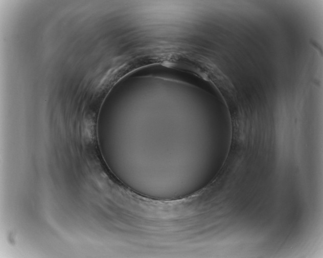X0000099520035200805151536
