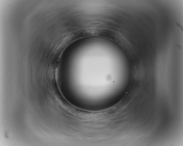 X0000099520036200805151536