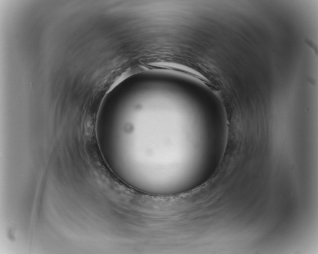 X0000099520037200805151536