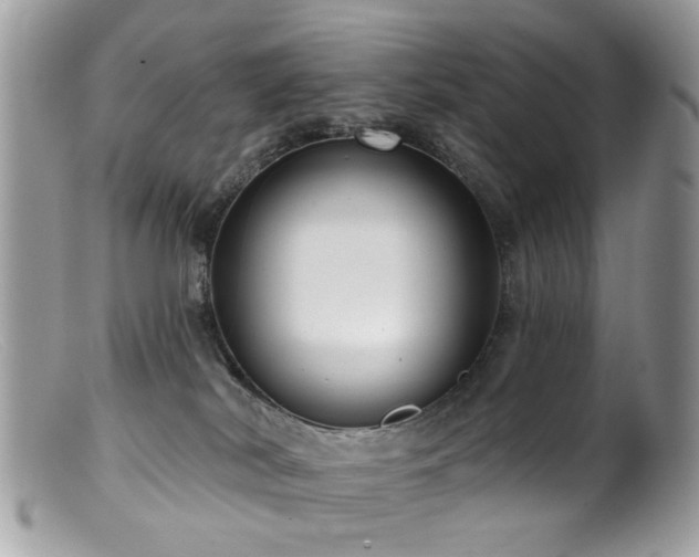 X0000099520038200805151536